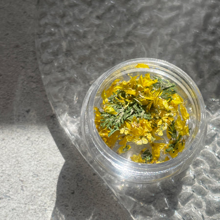 SHAREYDVA Dried Flower Mimosa Mix