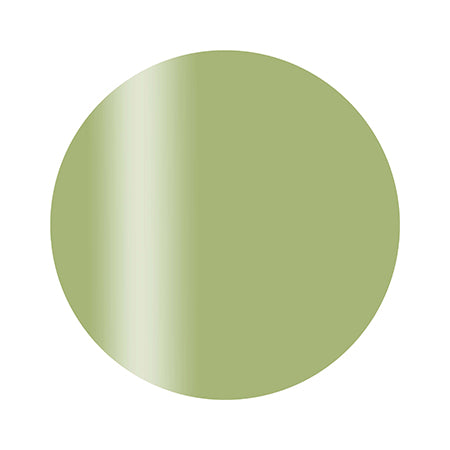 Calgel ◆ Color Gel Plus  Sunny Green  2.5G