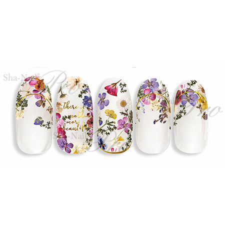 Photo Nail PRO  RUMI-011 Real Pressed Floret