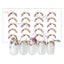 Photo Nail Plus FR-RRP01 [French] Real Pressed Floret Petal