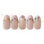 Photo Nail Plus  FR-RRP02 [French] Real Pressed Floret Line