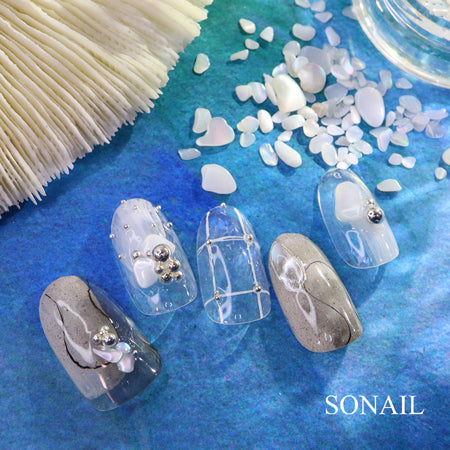 SONAIL Marine Shell Mix Size Nail Parts FY000248 2G