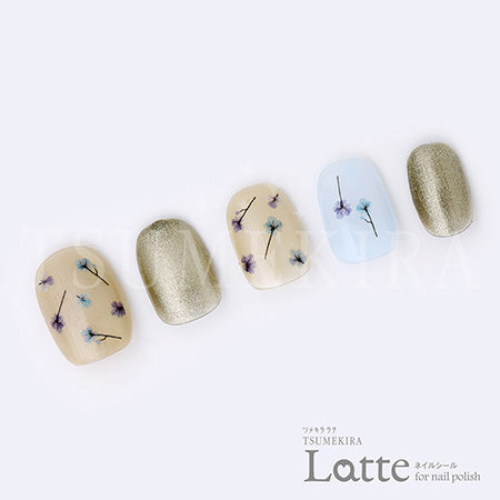 Tsumekira [Latte] Dried Flower Mini3  LT-DFM-103