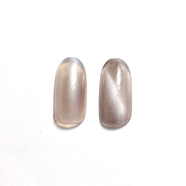SHAREYDVA Magnet Powder Sheer Grayish 0.5g