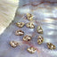 SONAIL Ocean Shell Raster Deco Parts Gold FY000226 10P
