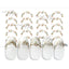 Photo Nail Plus  FR-NL01  [French] Nuance Leaf