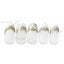 Photo Nail Plus  FR-NL01  [French] Nuance Leaf