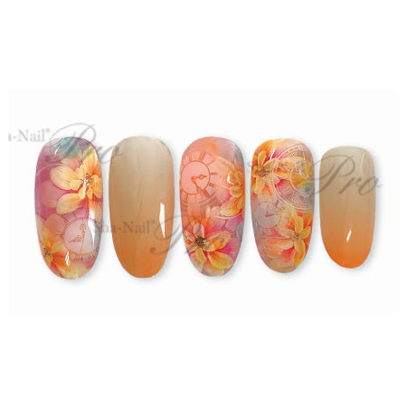 Photo Nail PRO SINYA-001 Time After time
