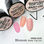 ICE GEL A BLACK Blossom Matte Top Gel BMC-06 Silver