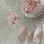 + D D.Nail hologram Astrid