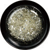 para gel color gel G007 Glitter Silver