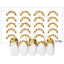 Sha-Nail Pro Photo Nail Plus *French sunflower*
