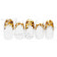 Sha-Nail Pro Photo Nail Plus *French sunflower*