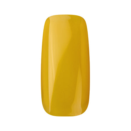 Ann Professional  Color Gel 160 Ocher 4G