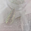 D.nail Neo Flash Powder 06  Aurora Mix