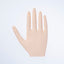 SPACE NAIL Primary SP Hand Richt
