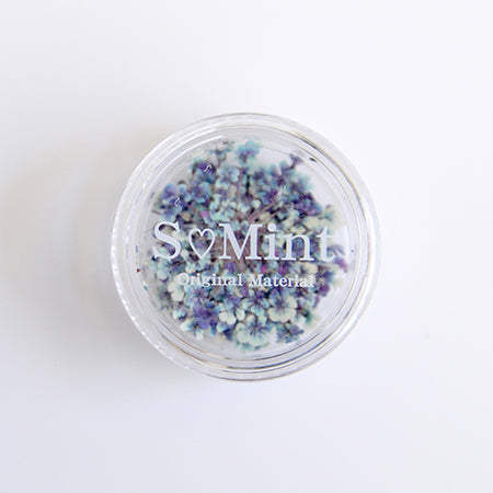 Es Mint SMint Dried Flower B-15