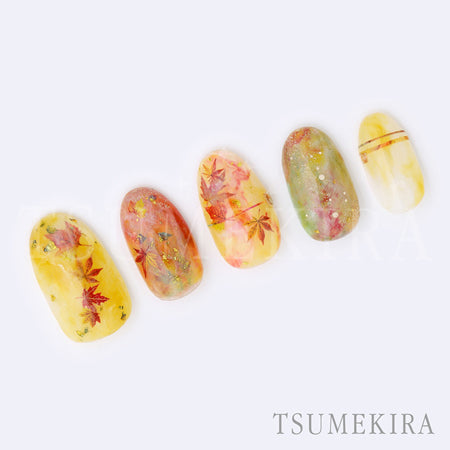 Tsumekira Autumn Colors NN-ALS-101