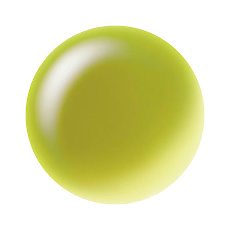 KOKOIST Excelline Soak Off Color Gel #G-286S Khaki Oats Glass 2.5G