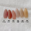 D.nail Botanical Gel 6-Color Set ① (01S-06S) 2.5G×6