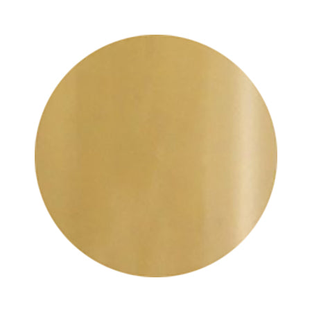 Nail Parfait Art Color Gel A117 Pitti 2G