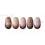 Sha-Nail Plus X Gradation F Brown  XGF-P01