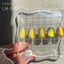 My Bee Layer Mug Set C (012-016/5 colors) 8ml x 5 colors