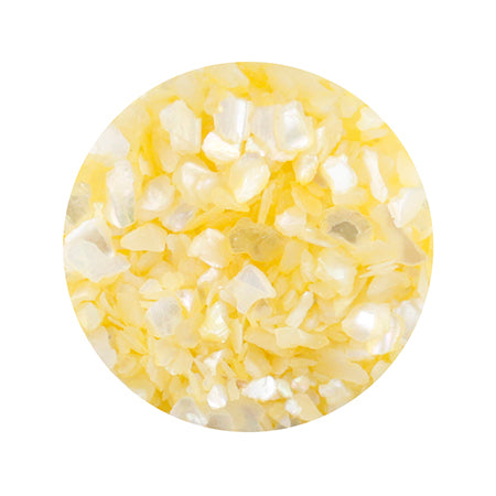 Empty Natural Crash Shell Ivory