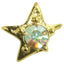 SHAREYDVA Nail accessories Stone star Gold