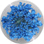 SHAREYDVA Lace Dry Flower Dark Blue
