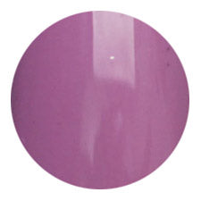 61 Premium Color Gel 2g Nail Parfait