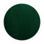 E109 Holly Green 2.5g Color Gel KOKOIST