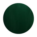 E109 Holly Green 2.5g Color Gel KOKOIST