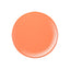 116M 5g Color Gel STORY JEL365