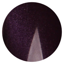 S15 Magnetic Color Gel 2g Nail Parfait