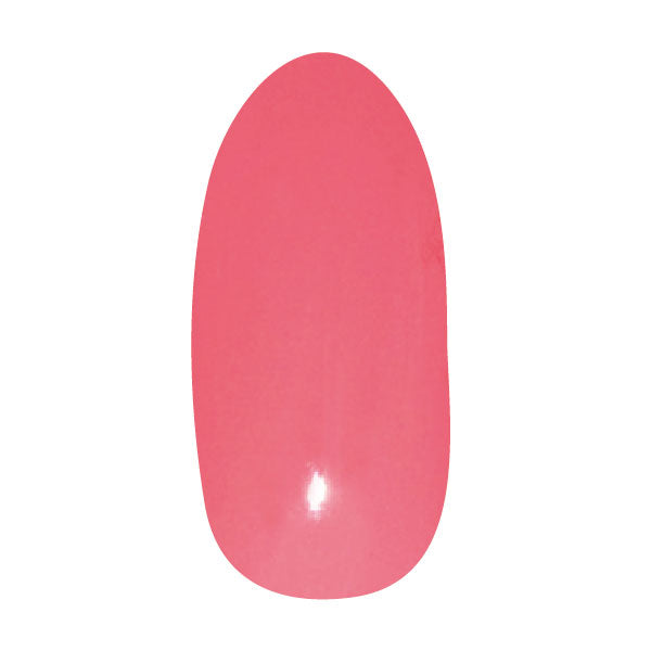 PREGEL Primdor Muse Macaron Pink PDM-L451 4G