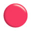 Calgel Color gel CGPI 14S Sunrise Pink