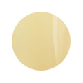 066 4g Color Gel LEAFGEL PREMIUM