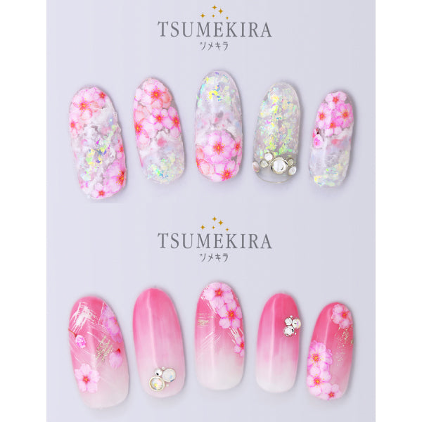 Tsumekira Sakura 6 double cherry trees  NN-SKR-601