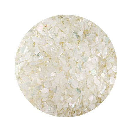 Pika Ace Natural Shellfish White S 341