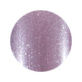 22 Premium Color Gel 2g Nail Parfait