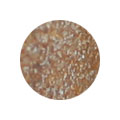 PREGEL PremDoll 703 Sugar Bronze 3g