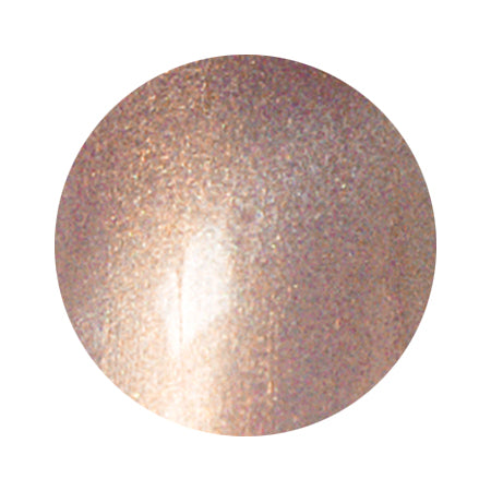 S20 Magnetic Color Gel 2g Nail Parfait