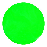 E24 Neon Toy Green 2.5g Color Gel KOKOIST