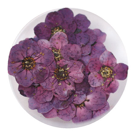 erikonail Jewelry Collection ERI-135 Dried Flower Purple