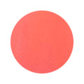 Putiel  Color Gel  143 Hot neon orange 2g