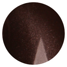 S14 Magnetic Color Gel 2g Nail Parfait