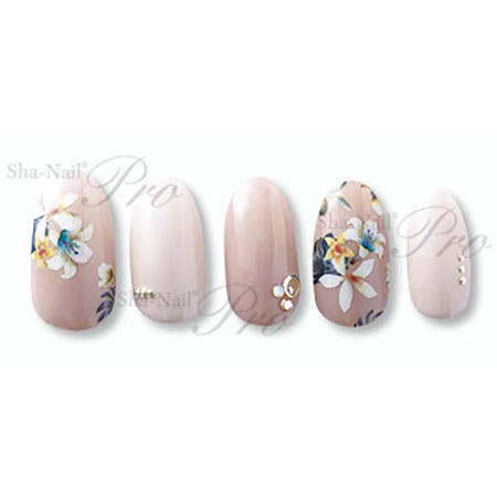 Sha-Nail Pro Autumn Resort AR-001