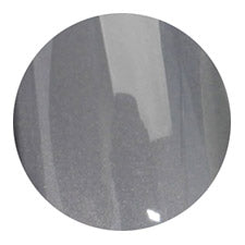 S10 Magnetic Color Gel 2g Nail Parfait