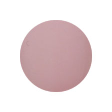 PG-CE305 Grayish Lilac 4g Color EX PREGEL